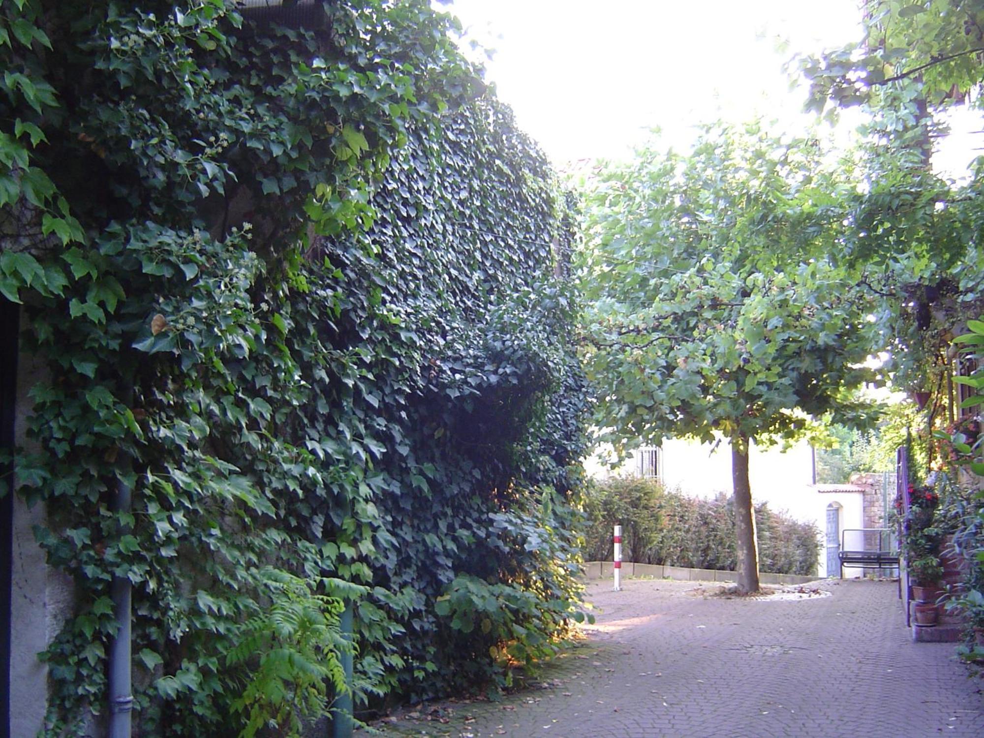 200M² Wohnung In Walldorf - Sap Εξωτερικό φωτογραφία